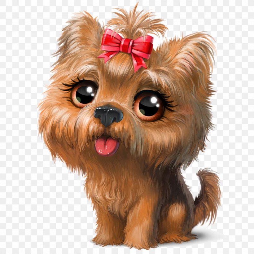 Yorkshire Terrier Puppy Cuteness Dog Grooming Clip Art, PNG, 1000x1000px, Yorkshire Terrier, Animal, Australian Silky Terrier, Carnivoran, Cartoon Download Free