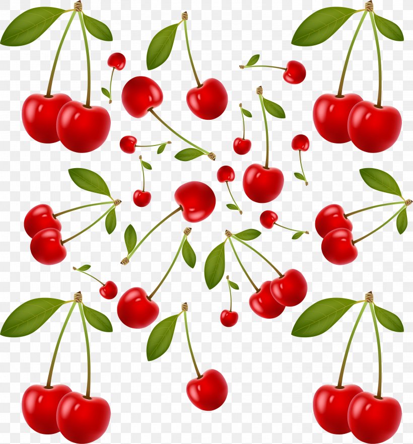 Barbados Cherry Auglis, PNG, 3001x3228px, Barbados Cherry, Acerola, Acerola Family, Auglis, Berry Download Free