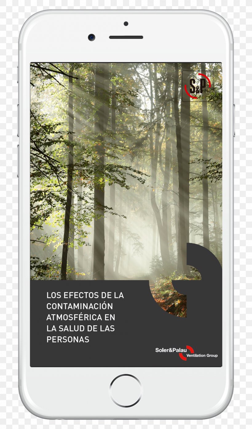 Jeep Forest Poster Sunlight Air Pollution, PNG, 1000x1700px, Jeep, Air Pollution, Autumn, Canvas, Canvas Print Download Free