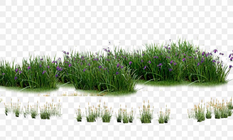 Landscaping Computer File, PNG, 1890x1134px, Herbaceous Plant, Flora, Flower, Flowerpot, Grass Download Free