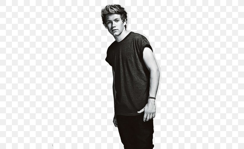 Mullingar One Direction Where We Are Tour IPhone Home, PNG, 500x500px, Mullingar, Black And White, Gentleman, Harry Styles, Home Download Free