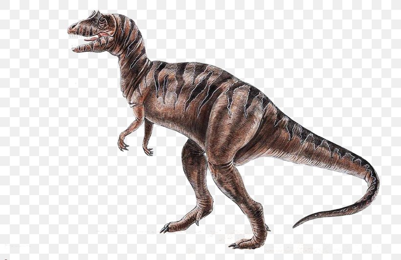 Velociraptor Dinosaur Tyrannosaurus Animal 恐龍化石, PNG, 800x533px, Velociraptor, Animal, Animal Figure, Dinosaur, Extinction Download Free