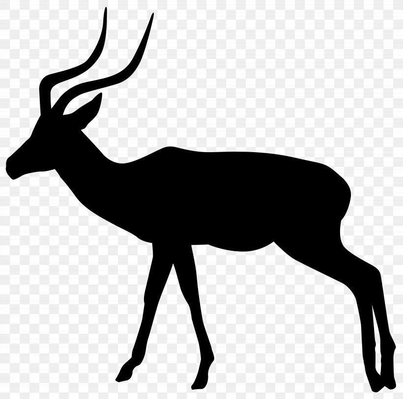 Gazelle Impala Antelope Gemsbok Clip Art, PNG, 8000x7933px, Gazelle, Antelope, Antler, Black And White, Deer Download Free
