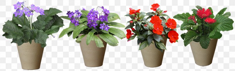 Grow Light Flower Light-emitting Diode, PNG, 1200x362px, Grow Light, Cut Flowers, Floral Design, Floristry, Flower Download Free