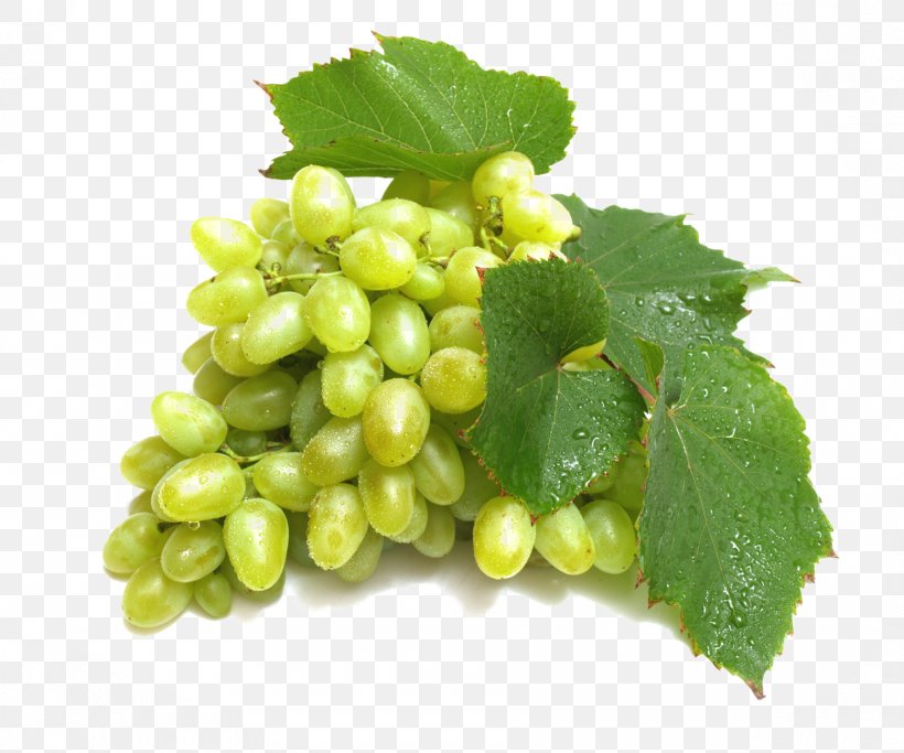 Red Wine Verjuice Grape Green, PNG, 1800x1500px, Red Wine, Antioxidant, Auglis, Drink, Food Download Free