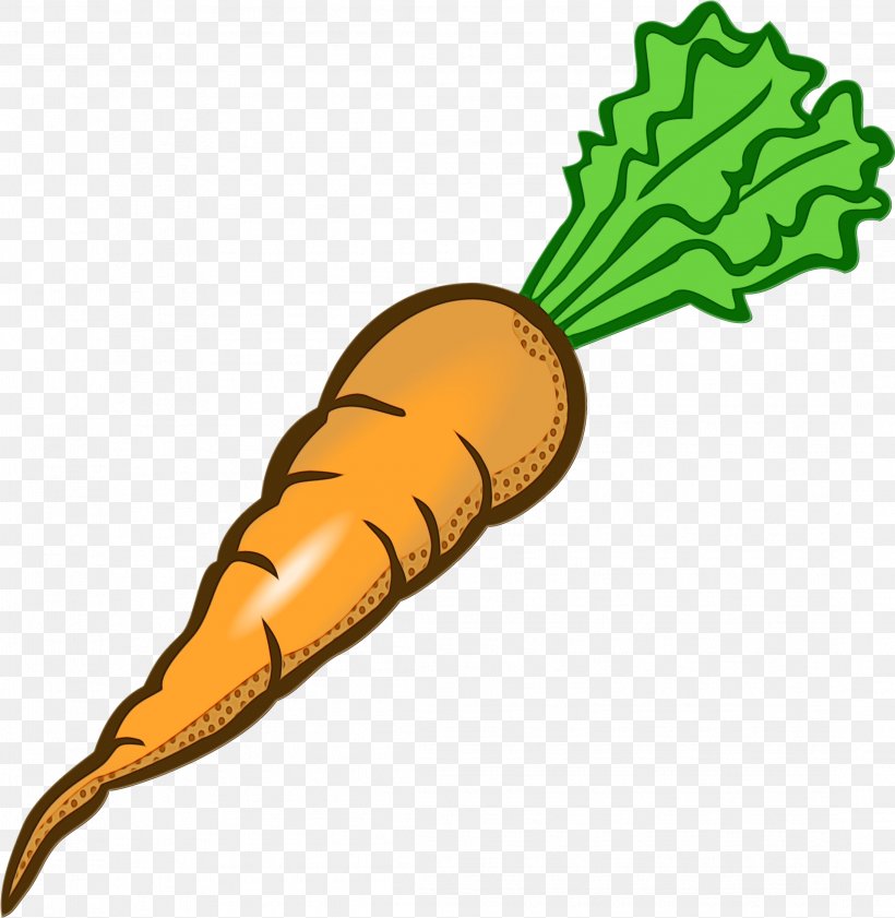 Carrot Daikon Radish Vegetable Root Vegetable, PNG, 2189x2247px, Watercolor, Carrot, Daikon, Food, Leaf Download Free