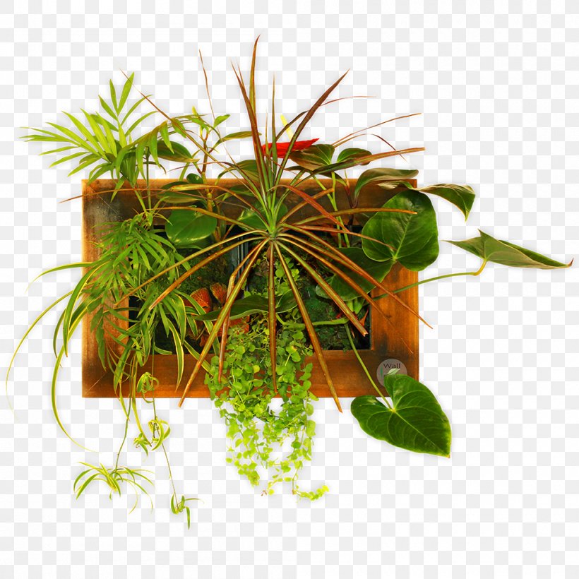 Houseplant Flowerpot Herb, PNG, 1000x1000px, Houseplant, Flowerpot, Herb, Plant Download Free