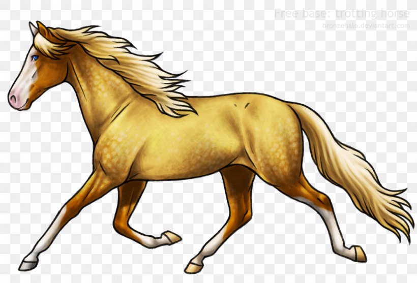 Mane Mustang Foal Stallion Colt, PNG, 1000x680px, Mane, Bridle, Carnivora, Carnivoran, Colt Download Free