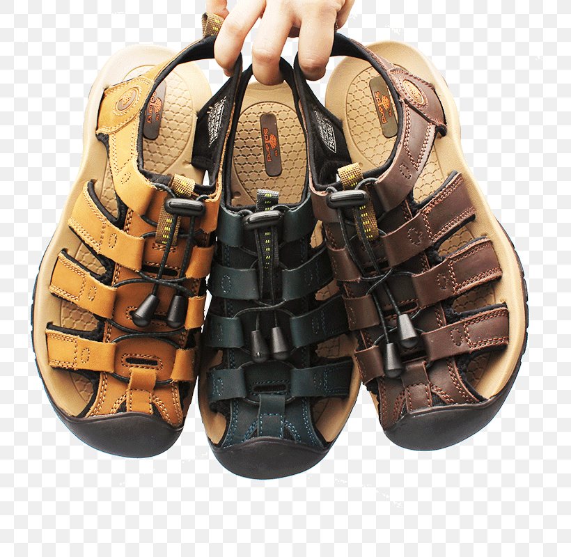 Slipper Sandal Shoe Flip-flops, PNG, 800x800px, Slipper, Boot, Flipflops, Footwear, Jelly Shoes Download Free