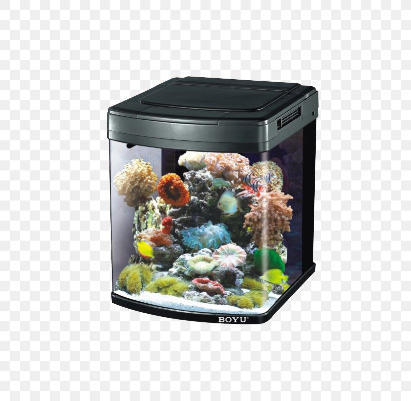 Aquarium Protein Skimmer Aerator Fish Akwarystyka Morska, PNG, 800x800px, Aquarium, Aerator, Air Pump, Akwarystyka Morska, Aquarium Decor Download Free