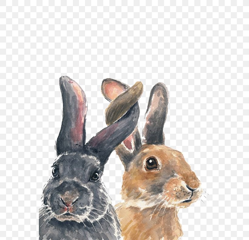 Bunnies, PNG, 564x790px, European Rabbit, Art, Crayon, Domestic Rabbit, Drawing Download Free