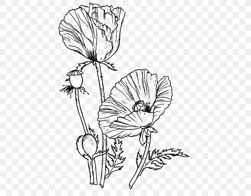 Coloring Book Flower Floral Design Drawing Poppy, PNG, 449x640px, Coloring Book, Area, Art, Artwork, Black And White Download Free