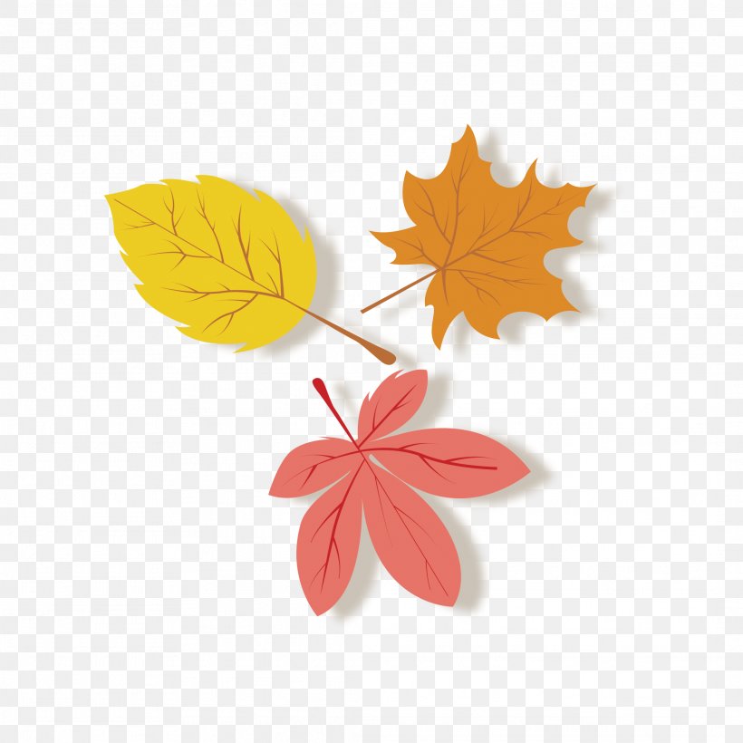 Leaf Autumn, PNG, 2126x2126px, Leaf, Autumn, Deciduous, Flower, Food Download Free