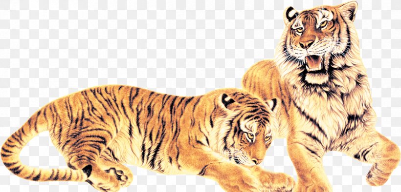 Tiger Download, PNG, 1215x585px, Tiger, Animal Figure, Big Cat, Big Cats, Carnivoran Download Free