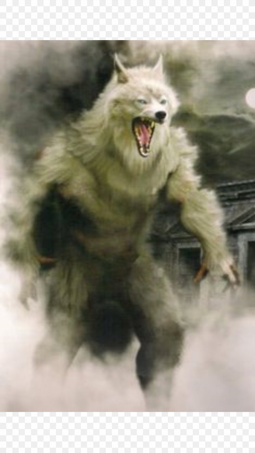 Werewolf Vampire Fantasy Film Myth, PNG, 2160x3840px, Werewolf, Art, Dark Fantasy, Fantasy, Film Download Free