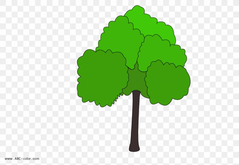 Drawing Tree Oak Raster Graphics Coloring Book, PNG, 822x567px, Drawing, Bitmap, Coloring Book, Composition, Digital Image Download Free