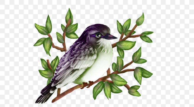History Web Page Painting, PNG, 600x452px, History, Art, Beak, Bird, Branch Download Free