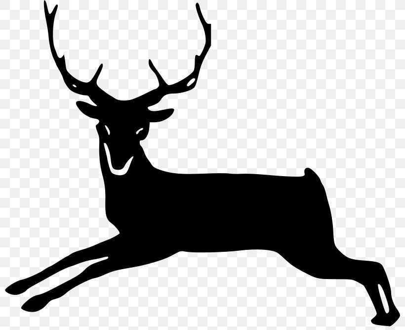 Reindeer White-tailed Deer Antler Clip Art, PNG, 800x667px, Reindeer, Antler, Black And White, Blacktailed Deer, Bowhunting Download Free