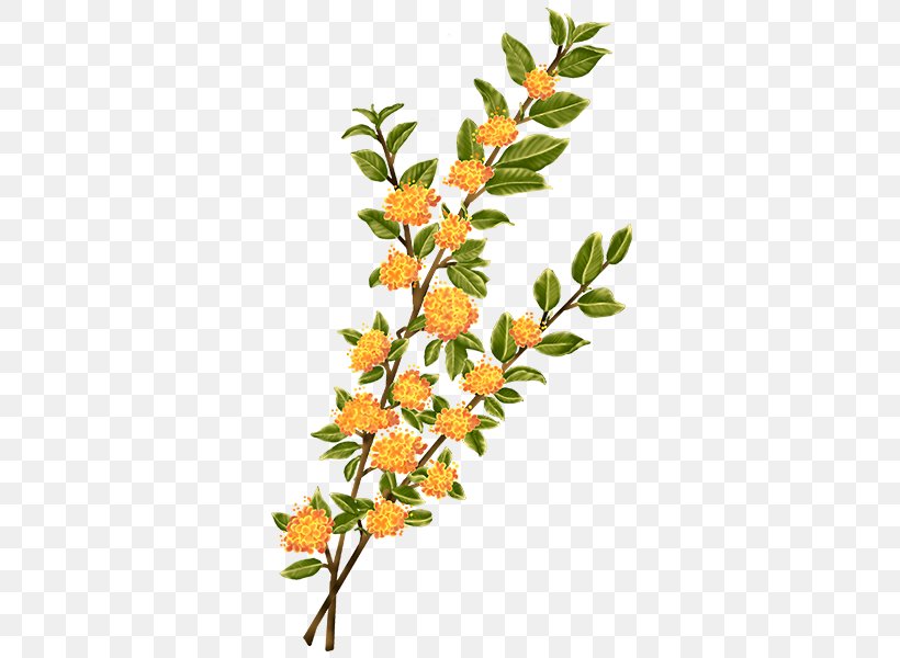 Twig Plant Stem Leaf Flowering Plant, PNG, 600x600px, Twig, Branch, Flower, Flowering Plant, Leaf Download Free