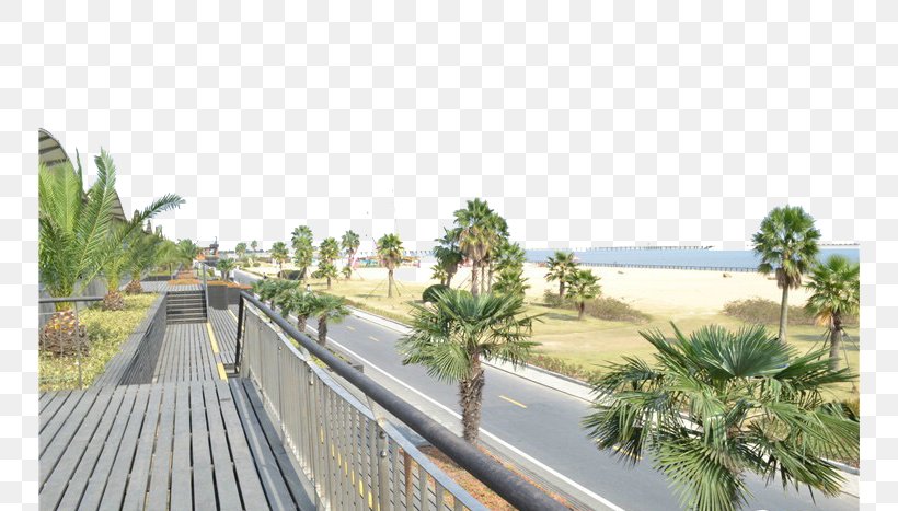 Zhujiajiao Jinshan City Sandy Beach Songjiang District U91d1u5c71u57ceu5e02u6c99u6ee9 Shanghai Jinshan, PNG, 750x467px, Zhujiajiao, Beach, City, Grass, Jinshan District Download Free