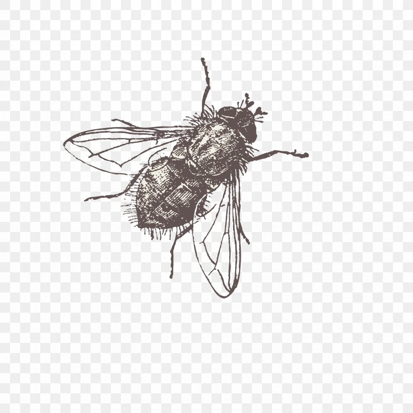 Fly Vector, PNG, 2362x2362px, Painting, Arthropod, Bee, Black And White, Computer Monitor Download Free