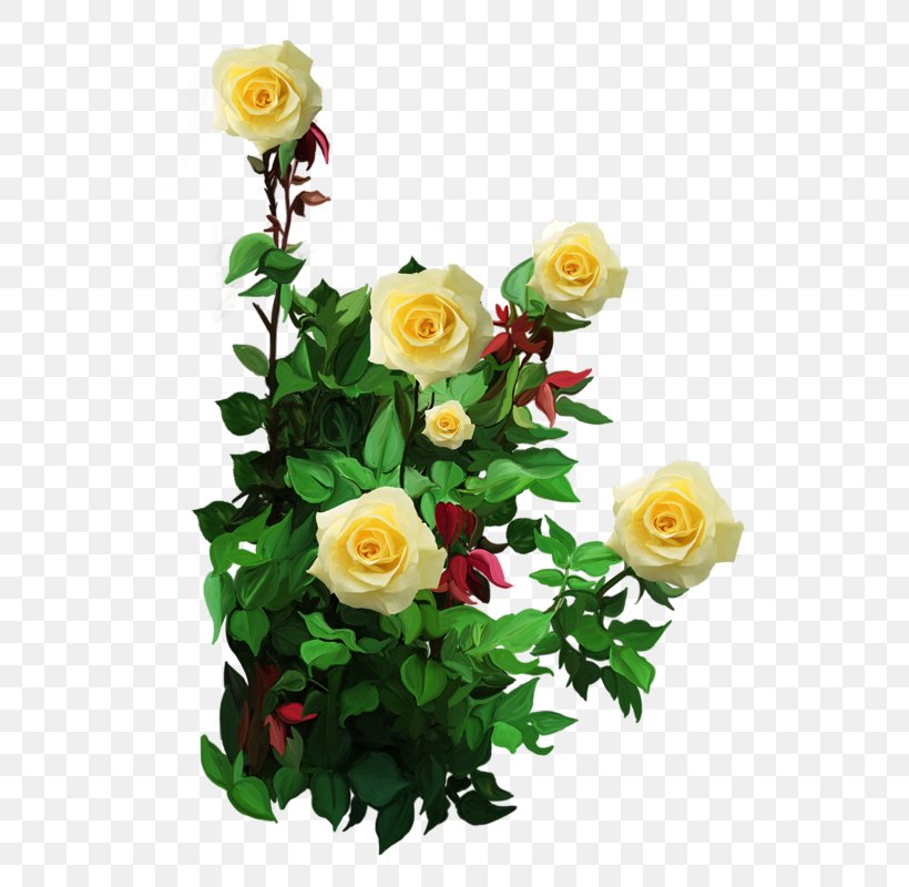 Garden Roses Floribunda Flower, PNG, 524x800px, Garden Roses, Artificial Flower, Cut Flowers, Drawing, Floral Design Download Free