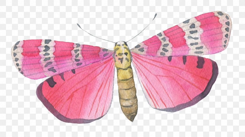 Vector Graphics Clip Art Image, PNG, 1024x573px, Butterfly, Arthropod, Cartoon, Drawing, Emperor Moths Download Free