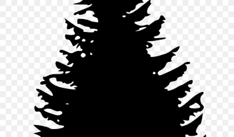 Christmas Black And White, PNG, 640x480px, Pine, Black, Blackandwhite, Branch, Cedar Download Free