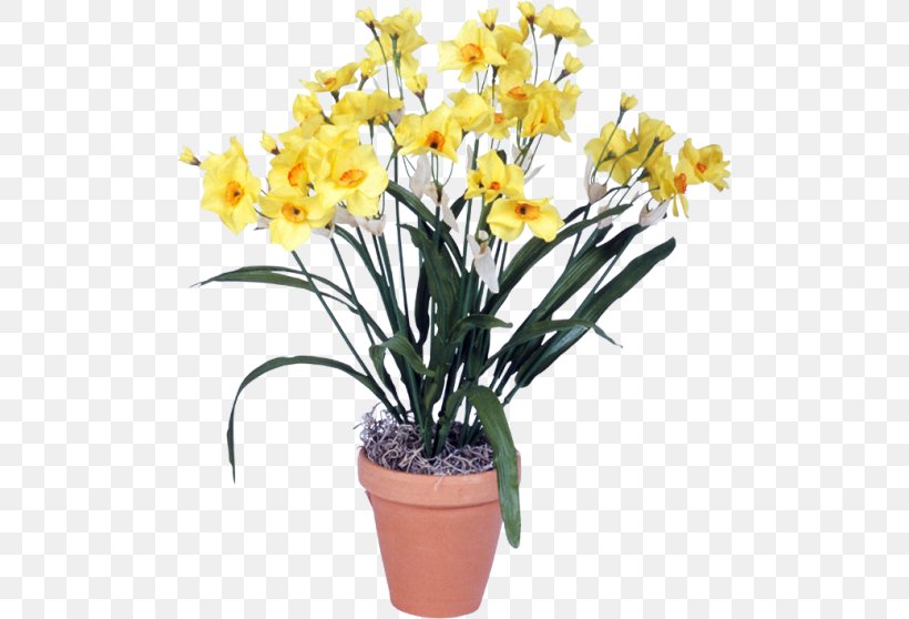Flowerpot Cattleya Orchids Cut Flowers Artificial Flower, PNG, 500x558px, Flowerpot, Amaryllis Family, Artificial Flower, Cattleya, Cattleya Orchids Download Free
