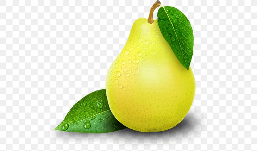 Williams Pear Lemon-lime Drink Key Lime, PNG, 533x483px, Pear, Citric Acid, Citron, Citrus, Citrus Junos Download Free