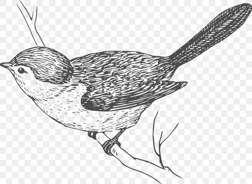 Bird Wren Clip Art, PNG, 1920x1403px, Bird, Art, Artwork, Beak, Black And White Download Free