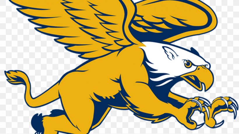 Canisius College Canisius Golden Griffins Men's Basketball Canisius Golden Griffins Women's Basketball Canisius Golden Griffins Men's Ice Hockey Monmouth University, PNG, 1600x900px, Canisius College, Art, Artwork, Beak, Bird Download Free