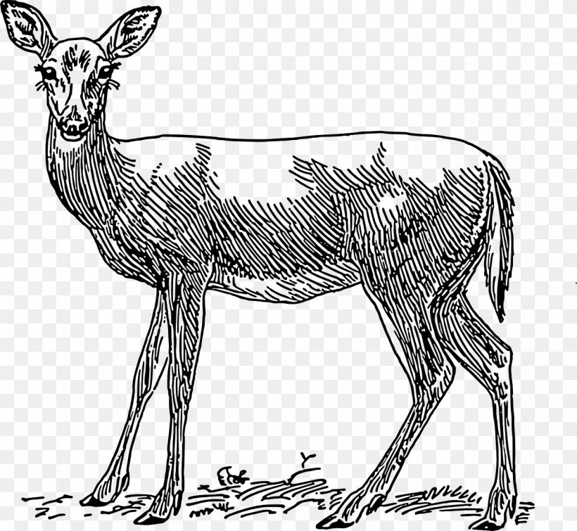 Red Deer White-tailed Deer Roe Deer Clip Art, PNG, 1280x1180px, Deer, American Black Bear, Animal, Antelope, Antler Download Free