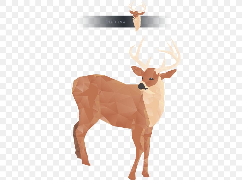 Reindeer White-tailed Deer Sticker Wall Decal, PNG, 550x609px, Reindeer, Antler, Bumper Sticker, Car, Deer Download Free