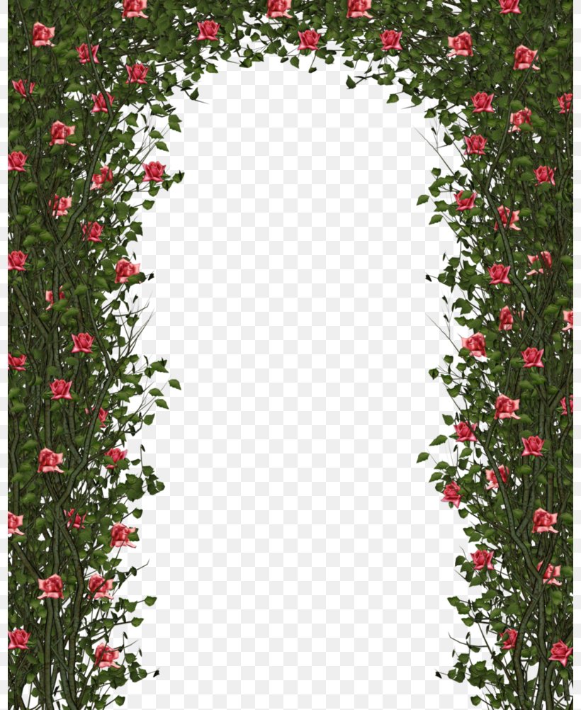 Flower Garden Roses Clip Art, PNG, 798x1002px, Flower, Aquifoliaceae, Christmas, Christmas Decoration, Deviantart Download Free