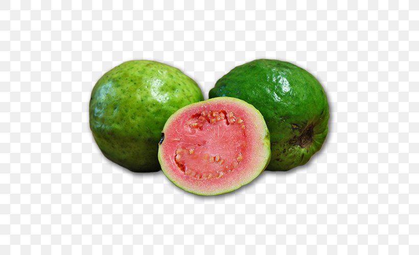 Guava Food Watermelon Fruit, PNG, 500x500px, Guava, Citrullus, Cucumber, Cucumber Gourd And Melon Family, Diet Food Download Free