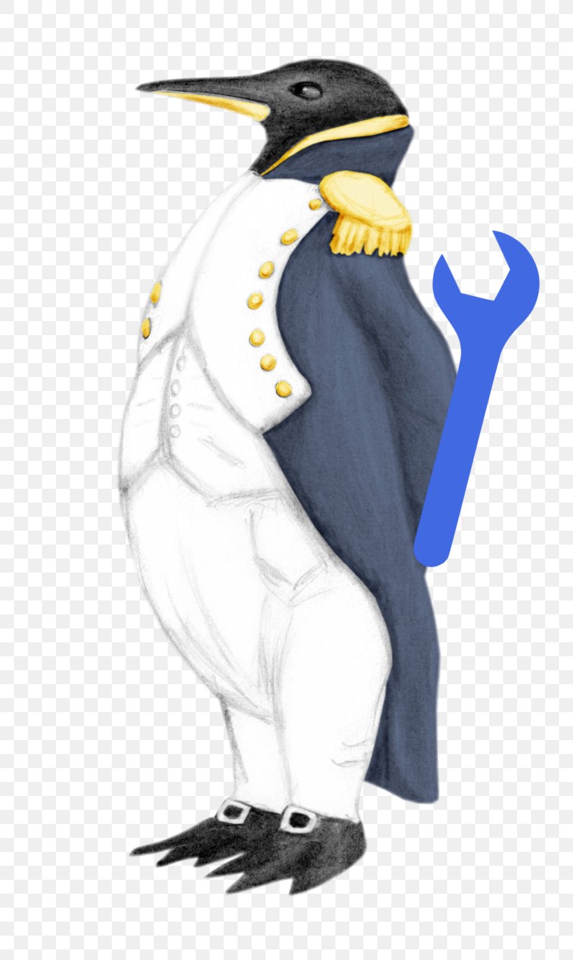 King Penguin Bird Emperor Penguin, PNG, 800x1375px, King Penguin, Animal, Beak, Bird, Cartoon Download Free