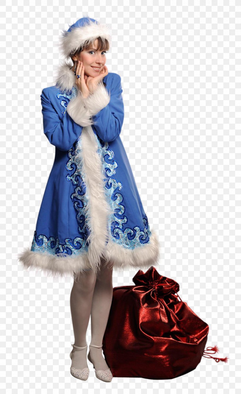 Mrs. Claus Woman Christmas Blue New Year, PNG, 867x1415px, Mrs Claus, Blog, Blue, Christmas, Costume Download Free