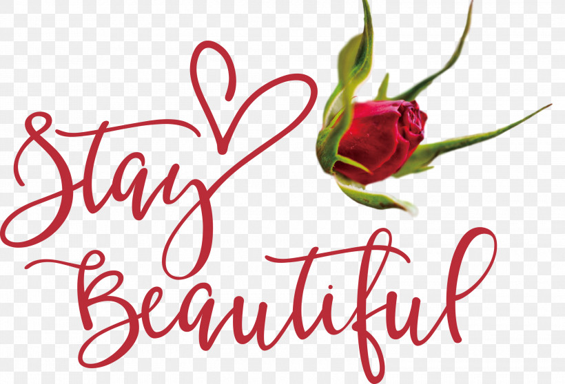 Stay Beautiful Fashion, PNG, 3000x2045px, Stay Beautiful, Cut Flowers, Fashion, Floral Design, Flower Download Free