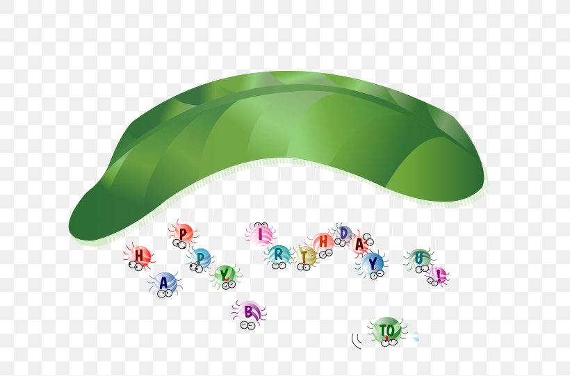 Vector Leaf, PNG, 781x541px, Spider, Animation, Cartoon, Computer Graphics, Green Download Free