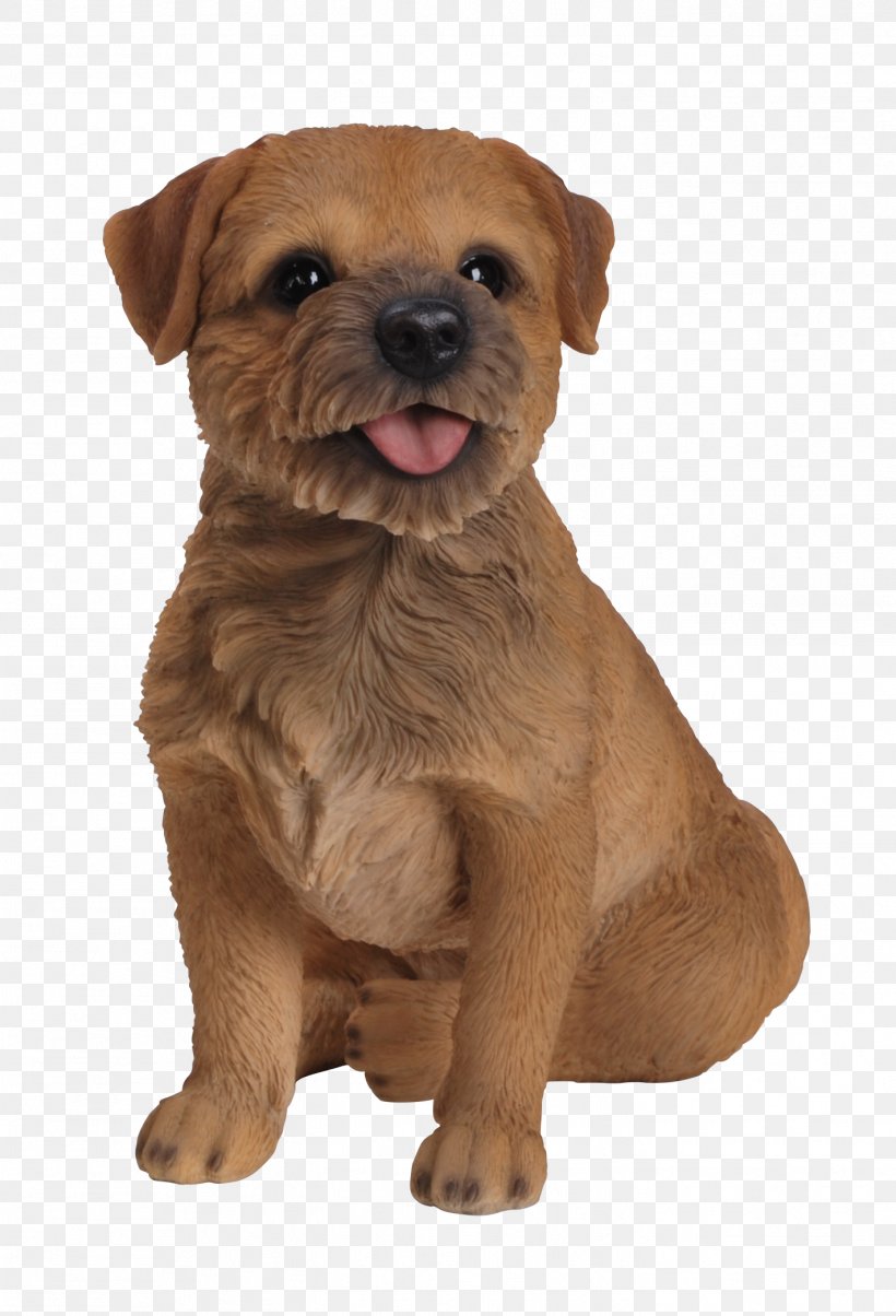Norfolk Terrier Border Terrier Dutch Smoushond Puppy Dog Breed, PNG, 1422x2089px, Norfolk Terrier, Border Terrier, Carnivoran, Companion Dog, Dog Download Free