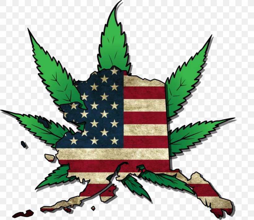 Alaska War On Drugs Legality Of Cannabis Medical Cannabis, PNG, 1024x889px, Alaska, Cannabis, Cannabis In Alaska, Cannabis In Oregon, Drug Download Free