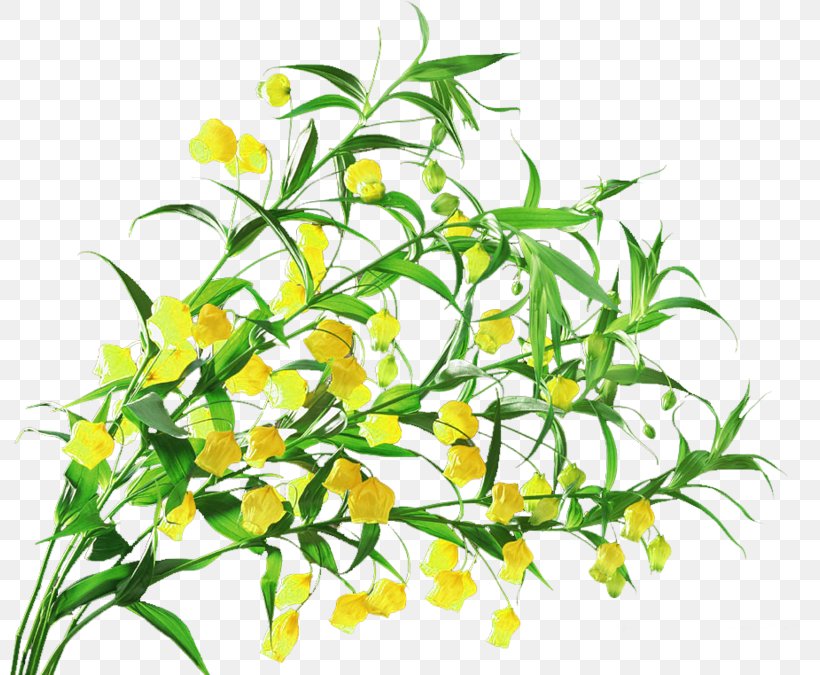 Flower Lily Of The Valley Floral Design, PNG, 800x675px, Flower, Branch, Cut Flowers, Flora, Floral Design Download Free