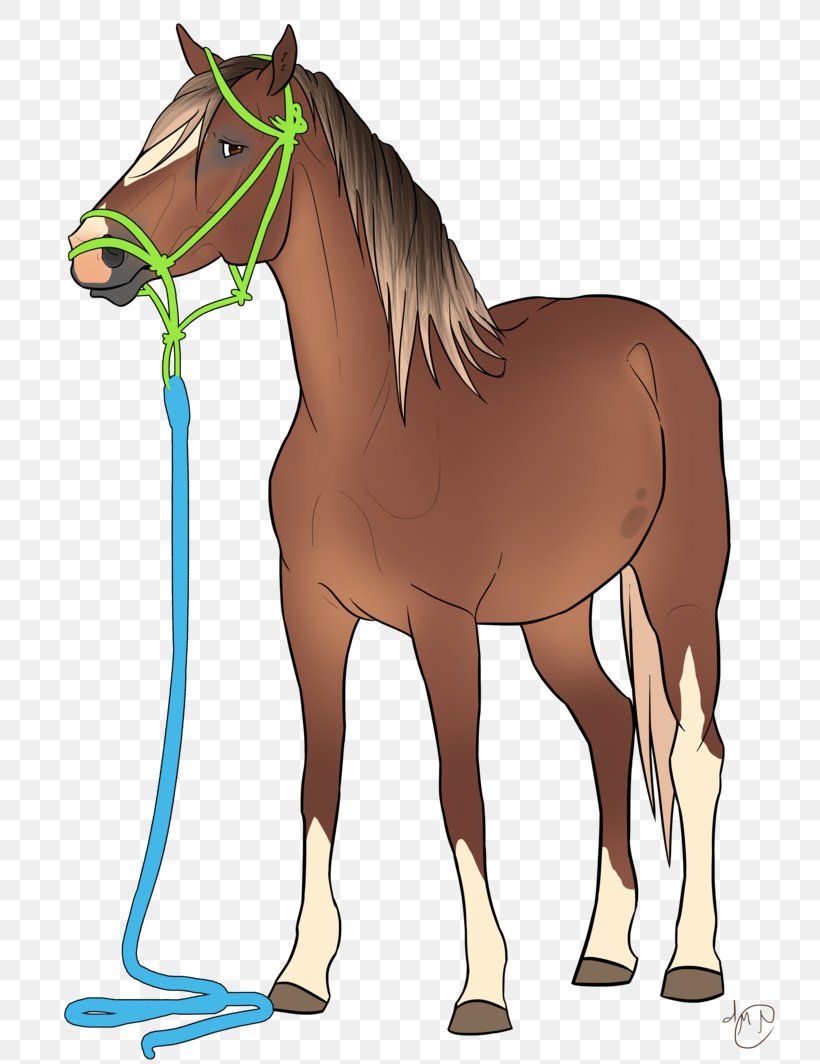 Foal Stallion Halter Mare Pony, PNG, 751x1064px, Foal, Bridle, Colt, Halter, Horse Download Free