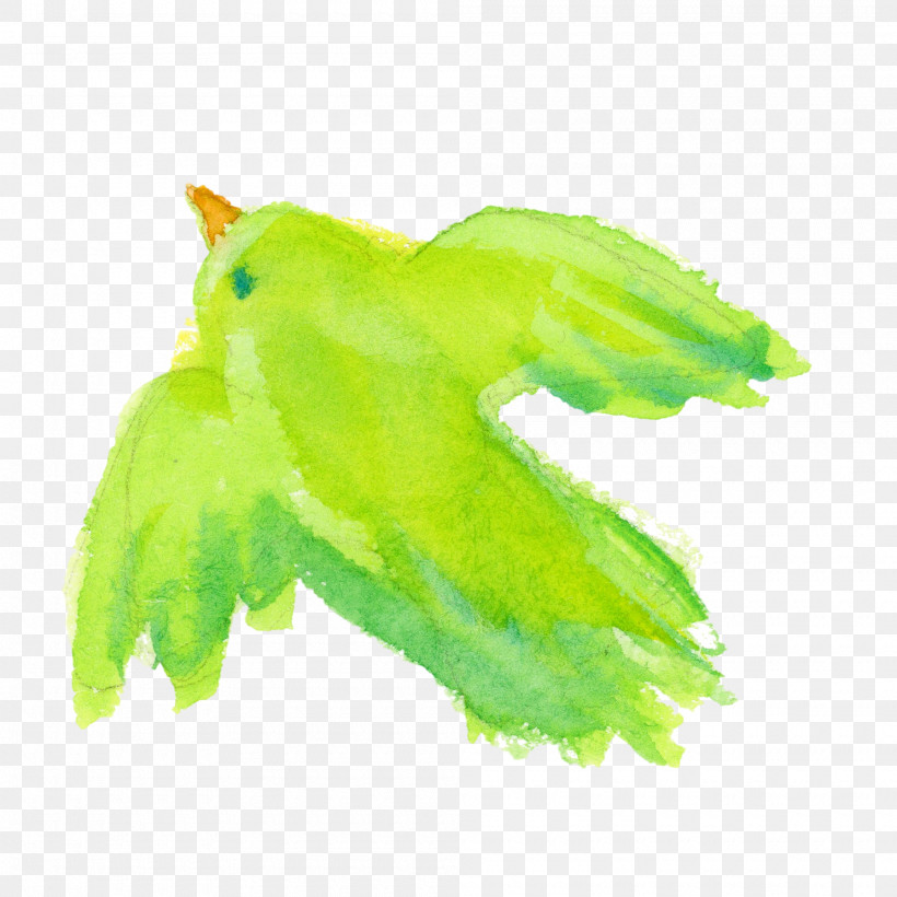 Green Leaf Wing Plant, PNG, 2000x2000px, Watercolor Bird, Green, Leaf, Plant, Wing Download Free