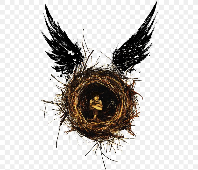 Harry Potter And The Cursed Child Foxwoods Theatre Albus Severus Potter Harry Potter And The Deathly Hallows, PNG, 491x703px, Harry Potter And The Cursed Child, Albus Severus Potter, Beak, Bird Nest, Broadway Theatre Download Free