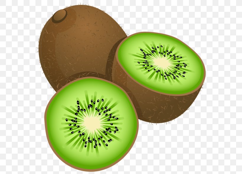 Kiwifruit Clip Art, PNG, 600x589px, Kiwifruit, Drawing, Food, Fruit, Kiwi Download Free