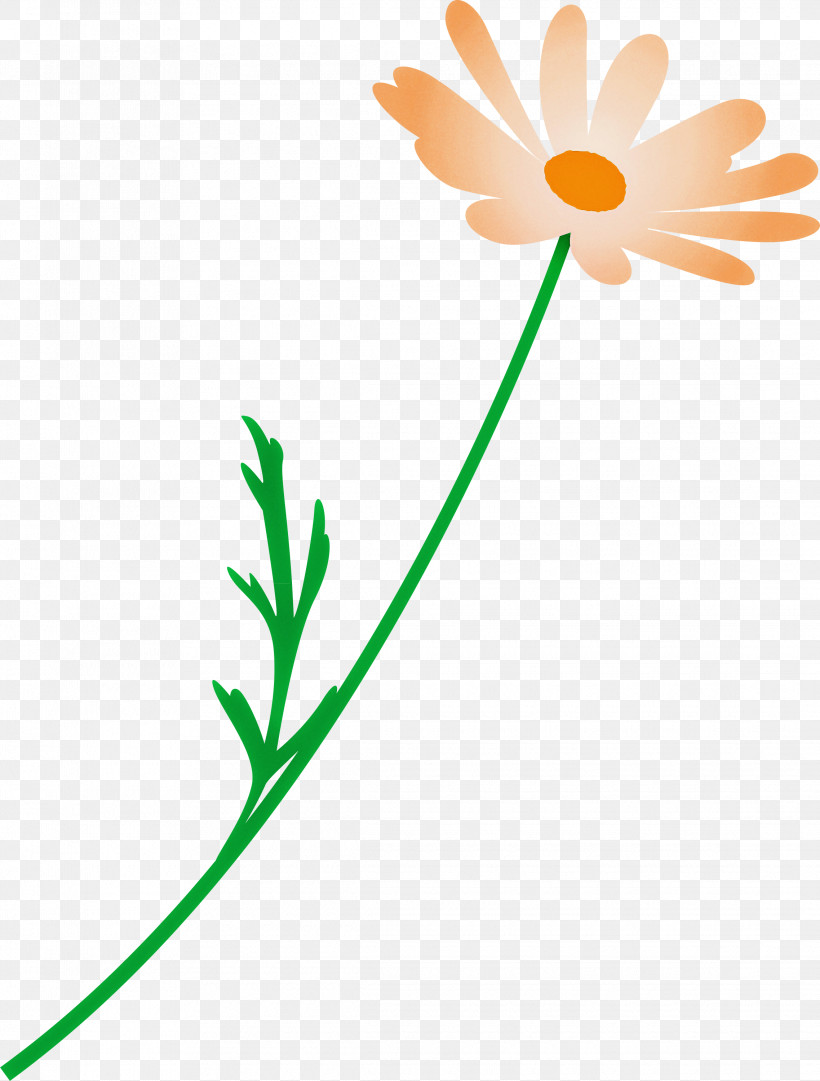 Marguerite Flower Spring Flower, PNG, 2275x3000px, Marguerite Flower, Camomile, Chamomile, Flower, Mayweed Download Free