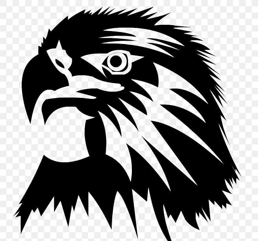 Bald Eagle Image Clip Art, PNG, 800x768px, Eagle, Art, Bald Eagle, Beak, Bird Download Free