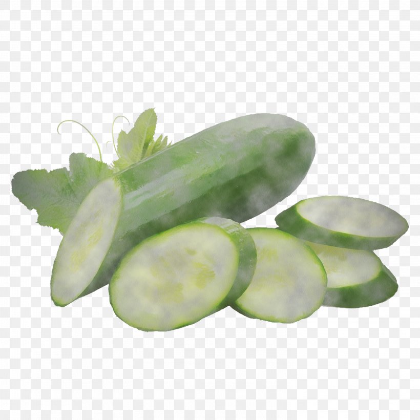White Cucumber Plant Vegetable Cucumis, PNG, 2953x2953px, White, Cucumber, Cucumber Gourd And Melon Family, Cucumis, Flower Download Free